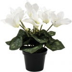 Faux Cyclamen White in a Pot by Grand Illusions